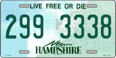 NH license plate 2993338