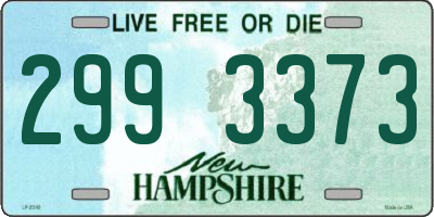 NH license plate 2993373