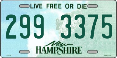 NH license plate 2993375
