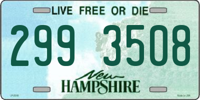 NH license plate 2993508