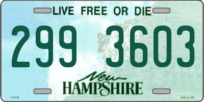NH license plate 2993603