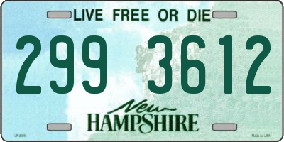 NH license plate 2993612