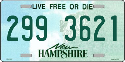 NH license plate 2993621