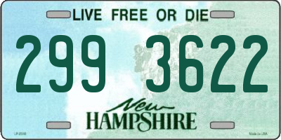 NH license plate 2993622