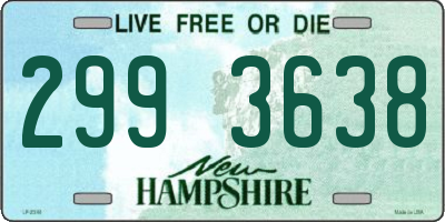 NH license plate 2993638