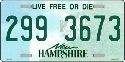 NH license plate 2993673