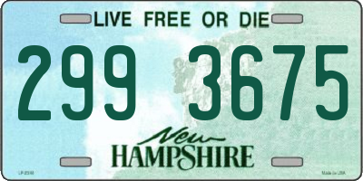NH license plate 2993675