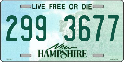 NH license plate 2993677
