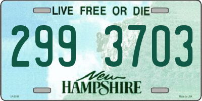 NH license plate 2993703