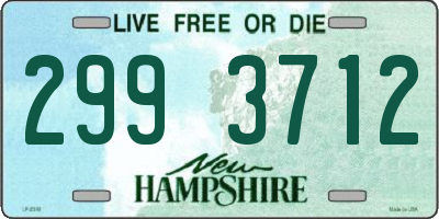 NH license plate 2993712