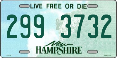 NH license plate 2993732