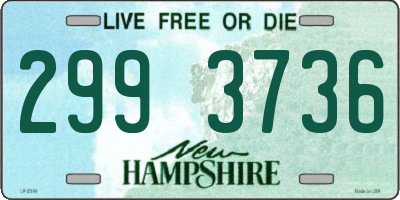 NH license plate 2993736