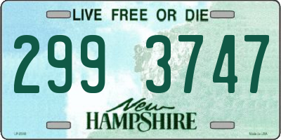 NH license plate 2993747
