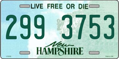 NH license plate 2993753