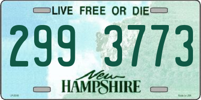 NH license plate 2993773
