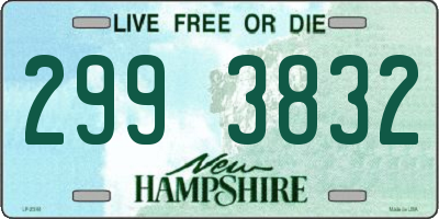 NH license plate 2993832