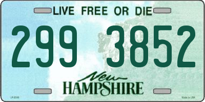 NH license plate 2993852