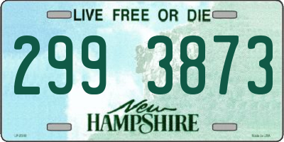 NH license plate 2993873