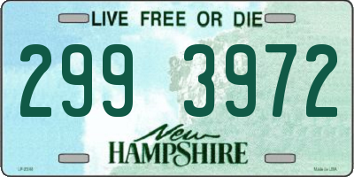 NH license plate 2993972