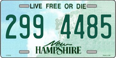 NH license plate 2994485