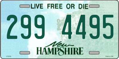 NH license plate 2994495