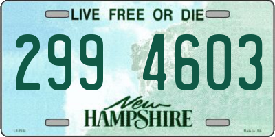 NH license plate 2994603
