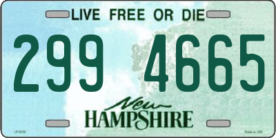 NH license plate 2994665