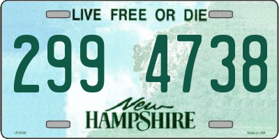 NH license plate 2994738