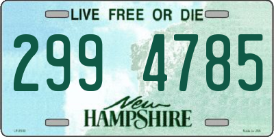 NH license plate 2994785