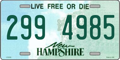 NH license plate 2994985