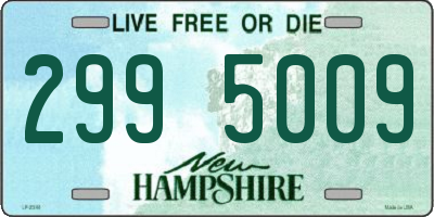 NH license plate 2995009