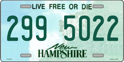 NH license plate 2995022
