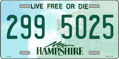 NH license plate 2995025