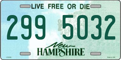 NH license plate 2995032