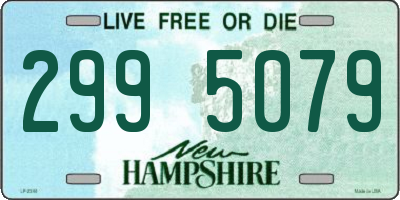 NH license plate 2995079
