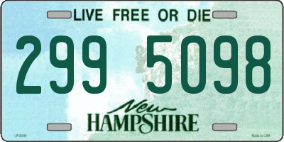NH license plate 2995098