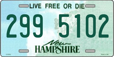 NH license plate 2995102