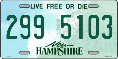 NH license plate 2995103