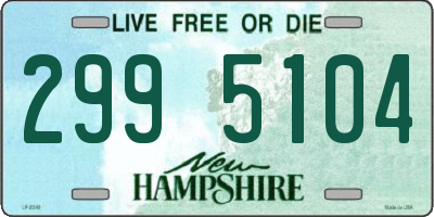 NH license plate 2995104
