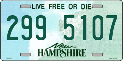 NH license plate 2995107