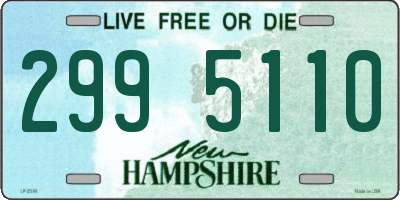 NH license plate 2995110