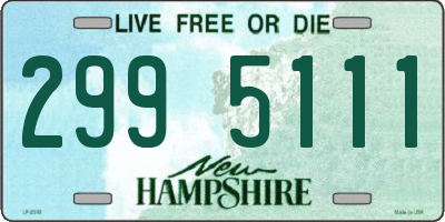NH license plate 2995111