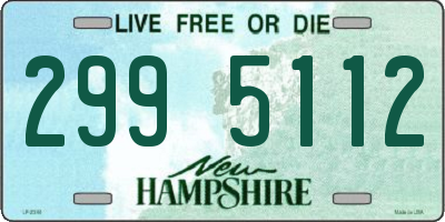 NH license plate 2995112