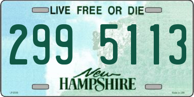 NH license plate 2995113