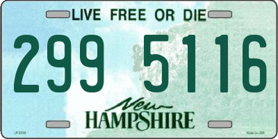 NH license plate 2995116