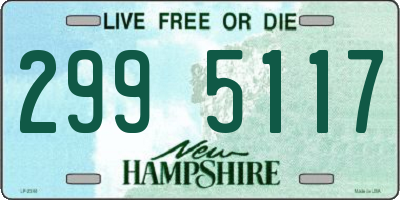 NH license plate 2995117
