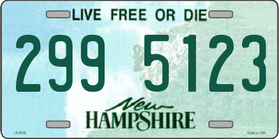 NH license plate 2995123
