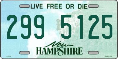 NH license plate 2995125