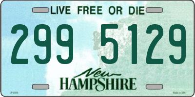 NH license plate 2995129