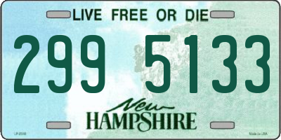 NH license plate 2995133